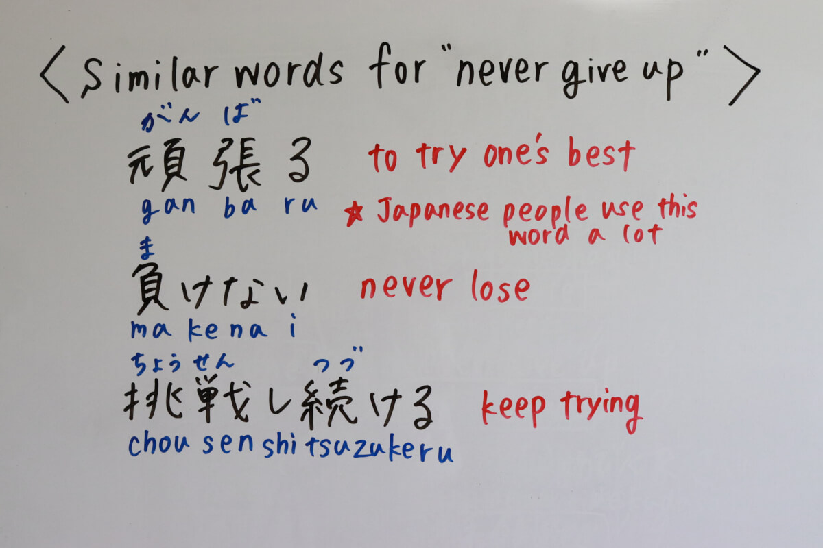 Similar words for never give up